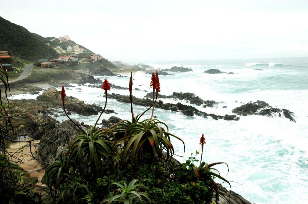 Dis Al Villa Oubosrand Bagian luar foto
